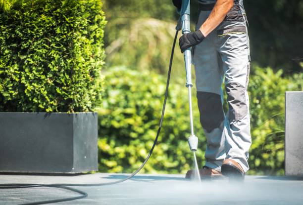 Best Sidewalk and Walkway Cleaning  in West Hazleton, PA